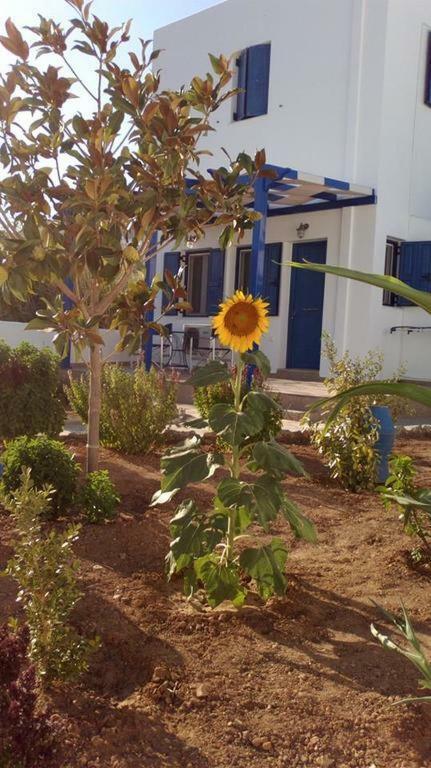 Ninemia Studios Serifos Island Exterior foto